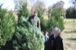resIMG_20121124_3811.JPG